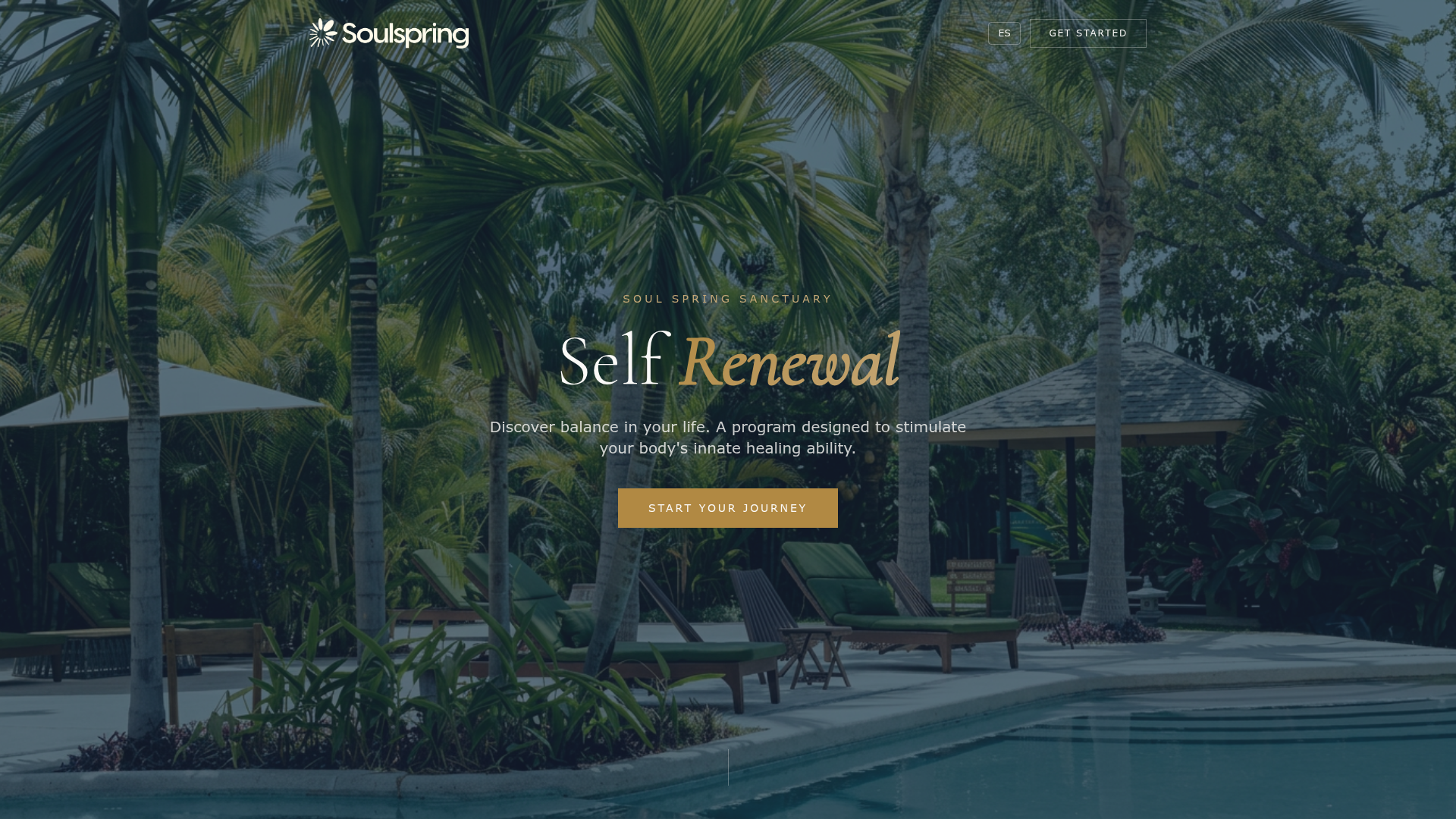 Soul Spring — sitio web diseñado por She Brands It