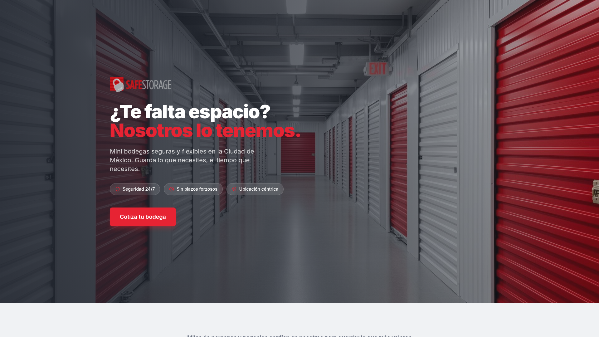 Safe Storage MX — sitio web diseñado por She Brands It